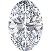 Oval Shape Oval Shape